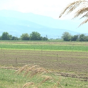 Irina Bioproizvodstvo